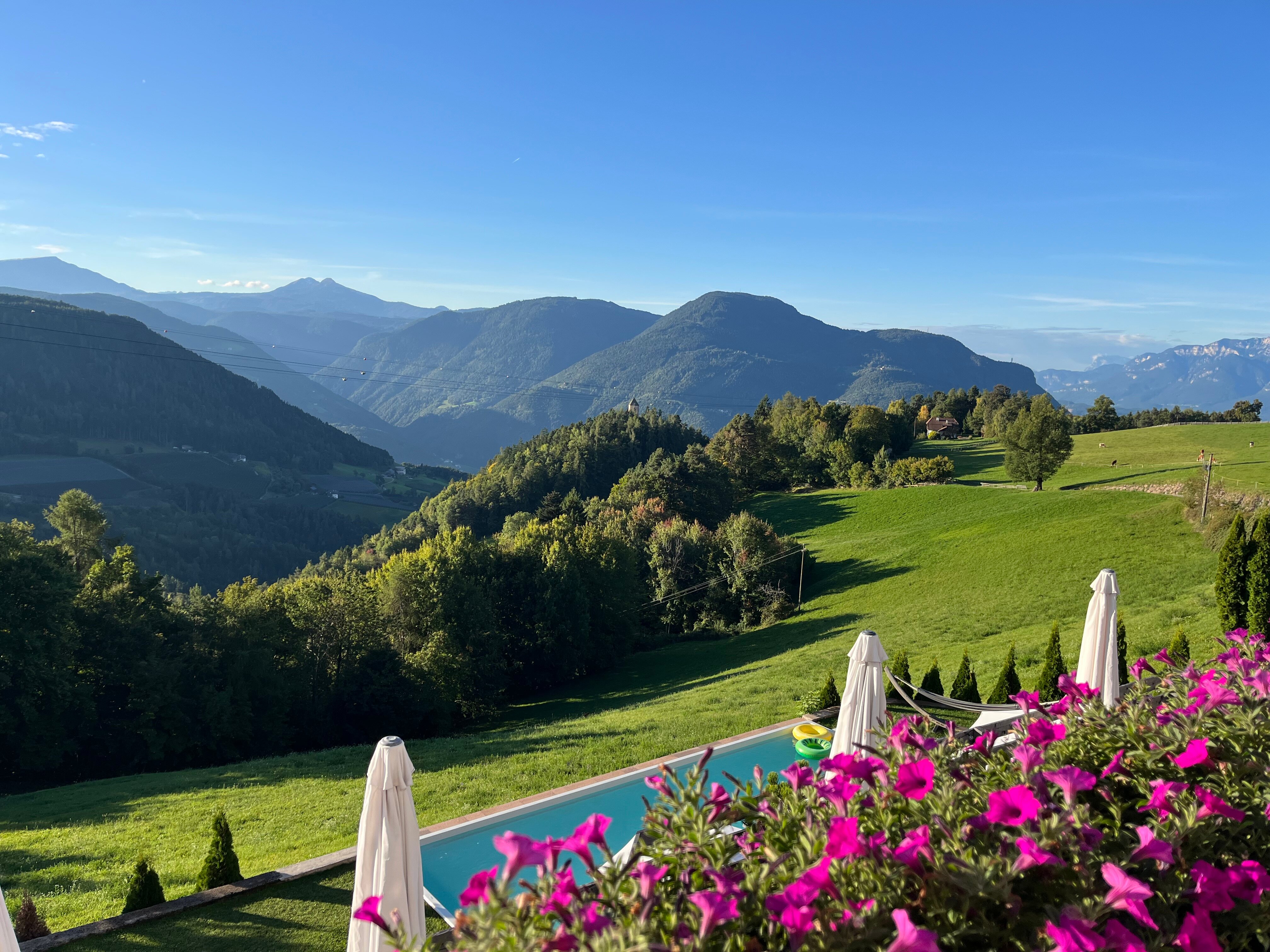 Pippo's Mountain Lodge-官方