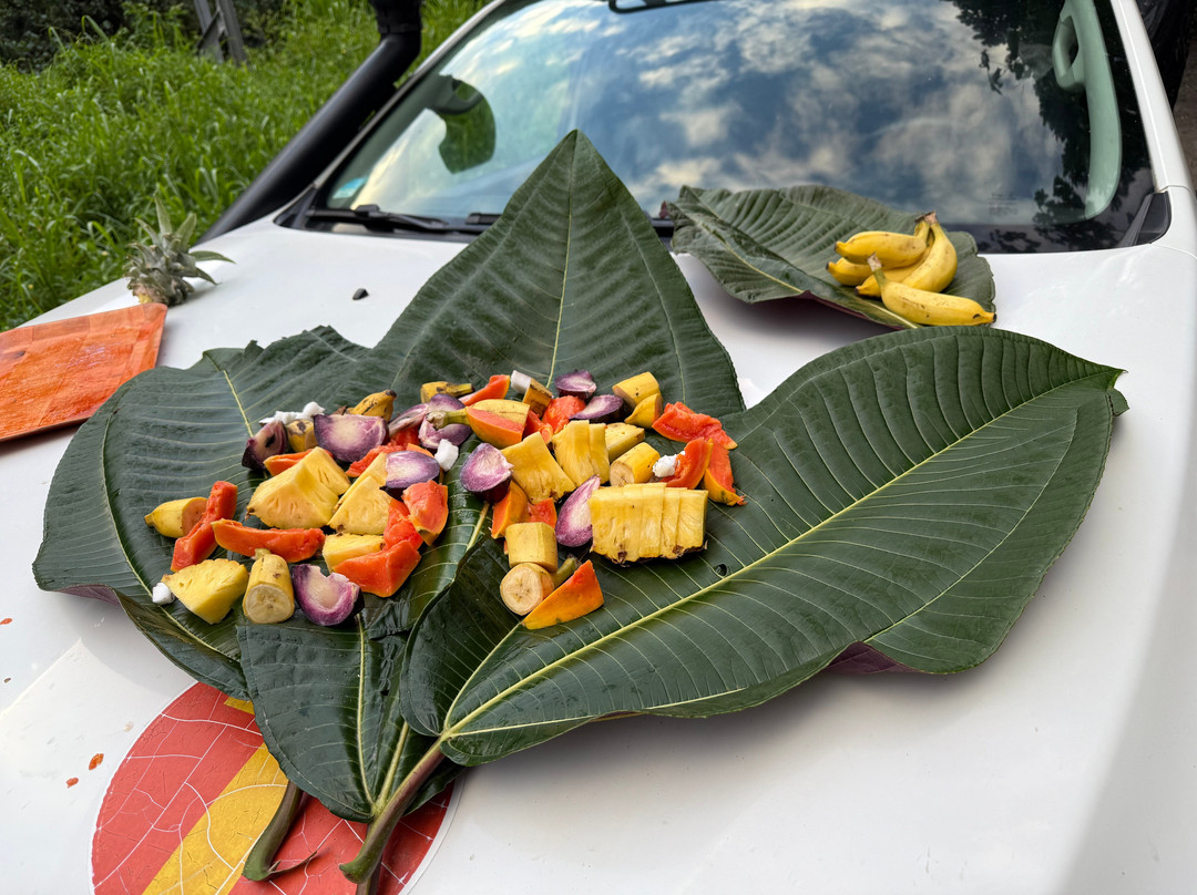 Marama Tours-大溪地必去景点