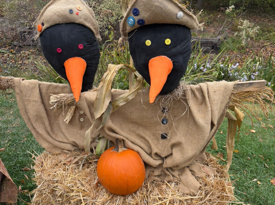 Mahone Bay Museum-Mahone Bay必去景点