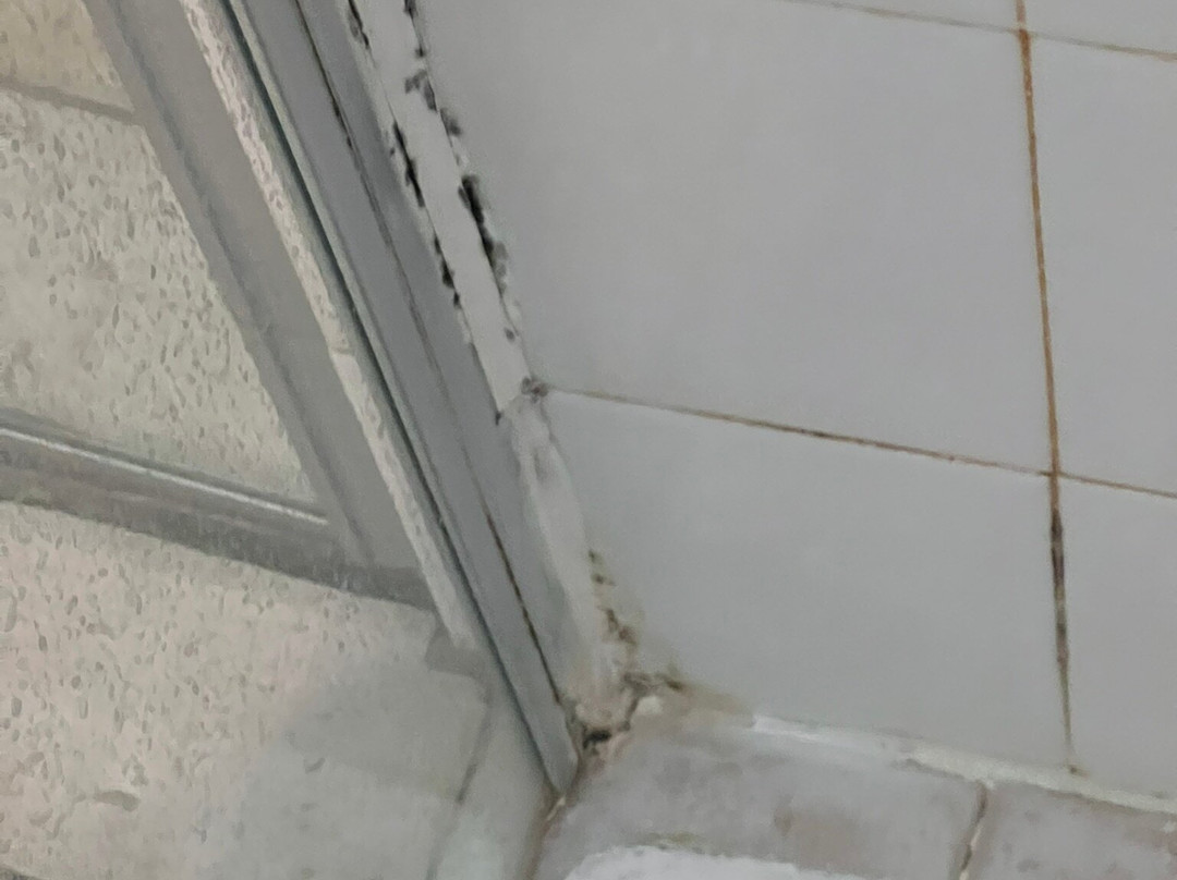 Hotel De La Ferme Lamy主图