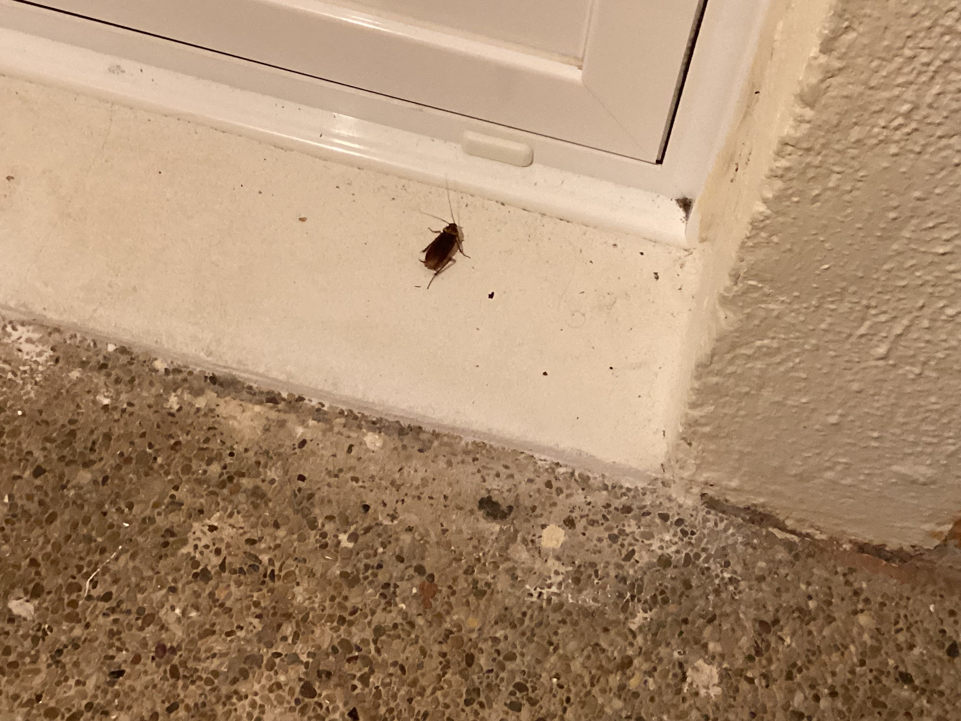 HSM Club Torre Blanca-浴室