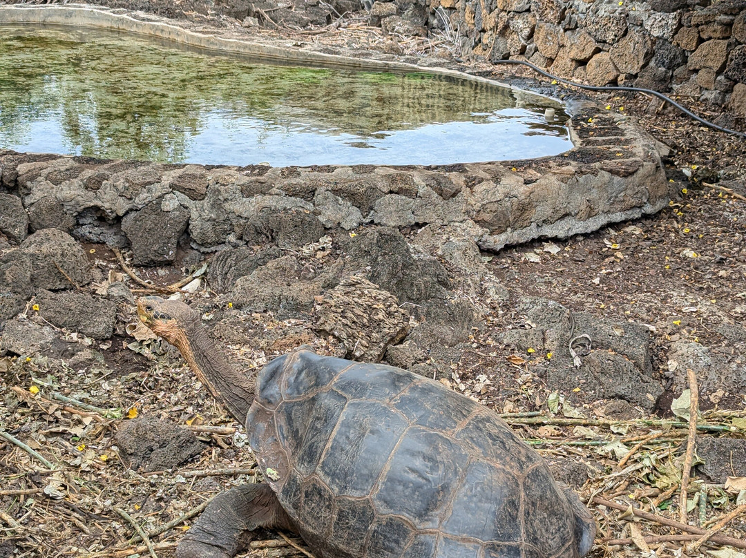 Estación Científica Charles Darwin-阿约拉港必去景点
