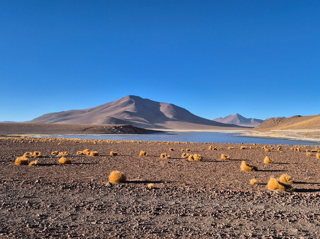 La Torre Tours-Tupiza必去景点