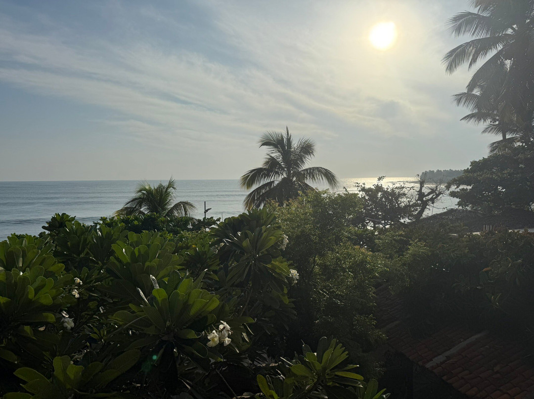 Bay Vista Hotel Arugam Bay主图