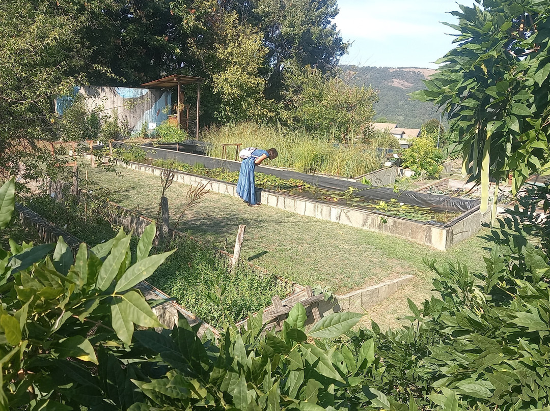 Giardino Botanico Rea-Trana必去景点