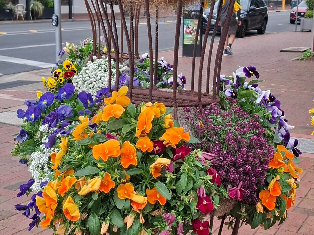 麦杰斯特米尼玛酒店主图