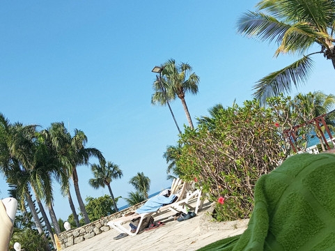 The Residence Suites - Puerto Plata主图