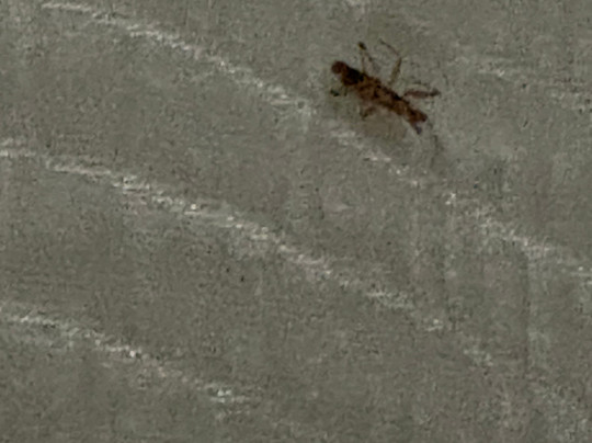 门罗贝蒙特旅馆套房酒店主图