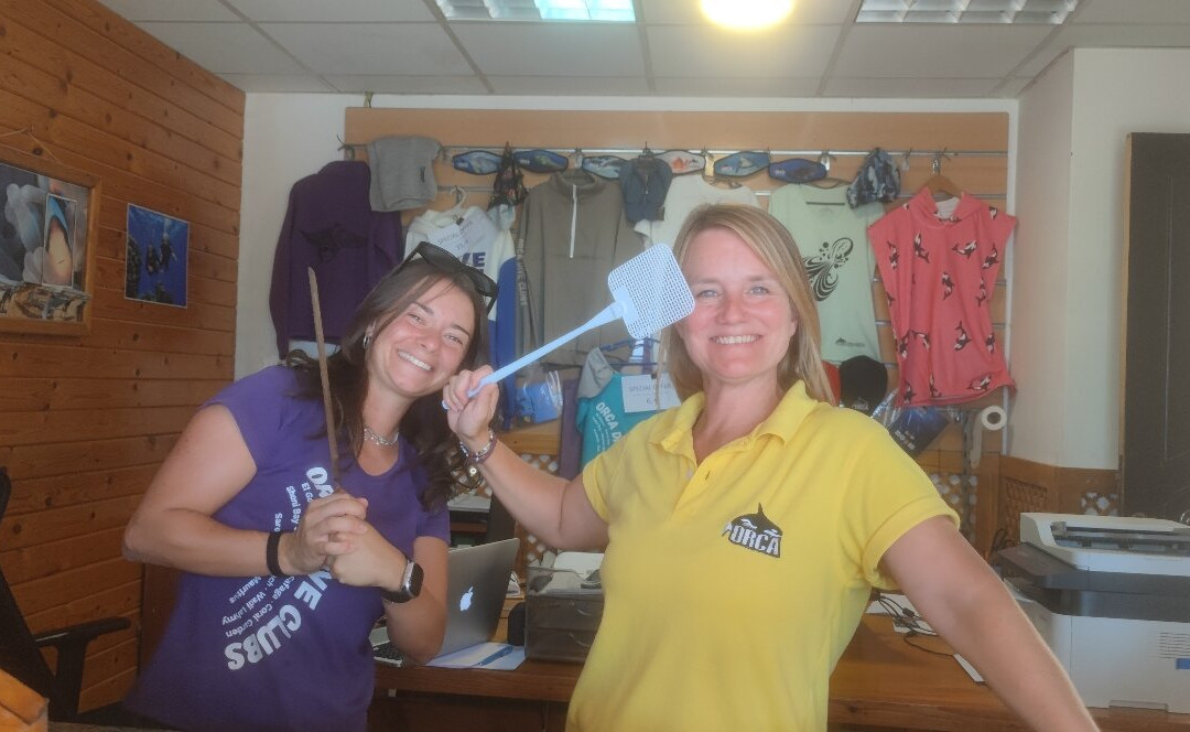 ORCA Dive Club Wadi Lahmy-马萨阿拉姆必去景点