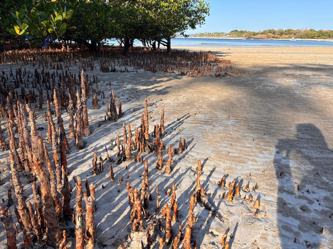 Andilana Belvedere主图