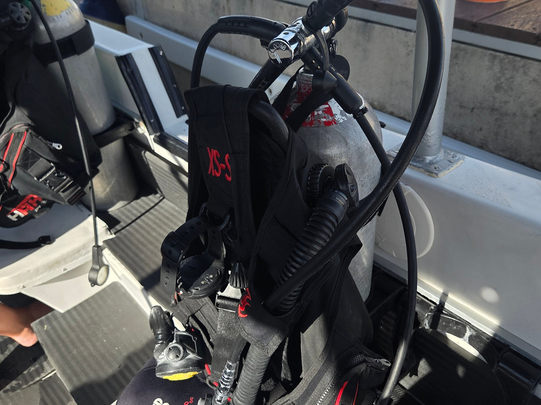 Scuba Life Cozumel-San Miguel de Cozumel必去景点