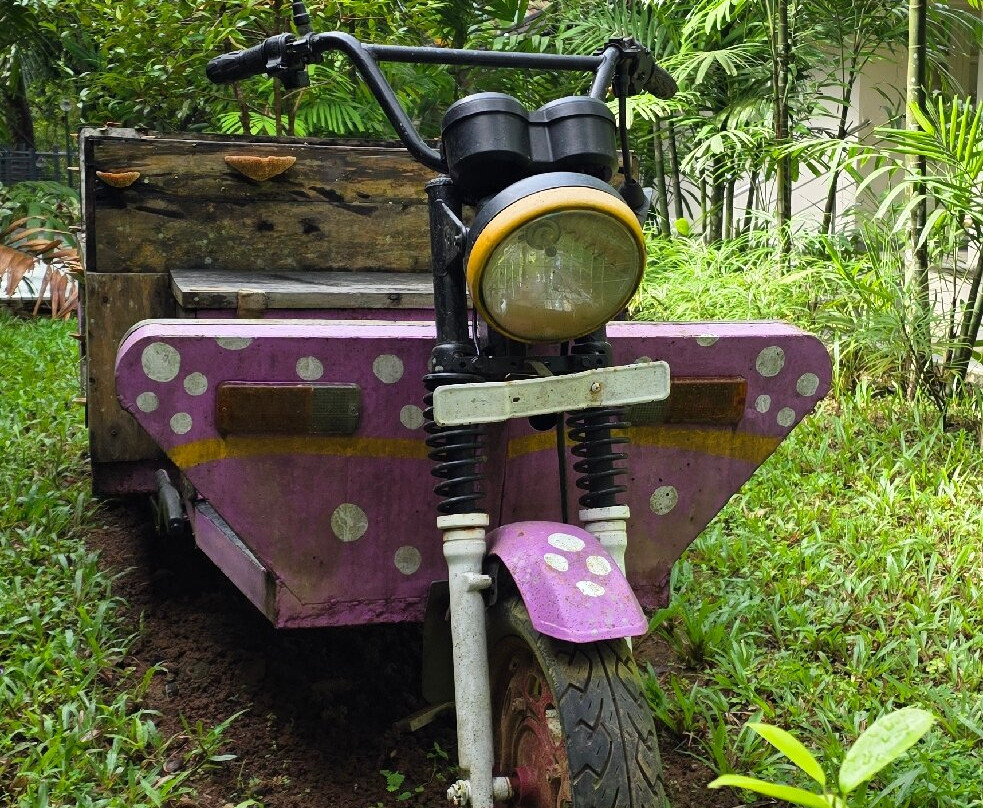 Namami-柯钦必去景点