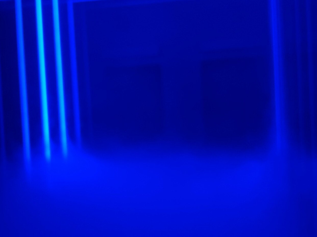 Moir - The Museum Of Infinite Realities-布鲁塞尔必去景点