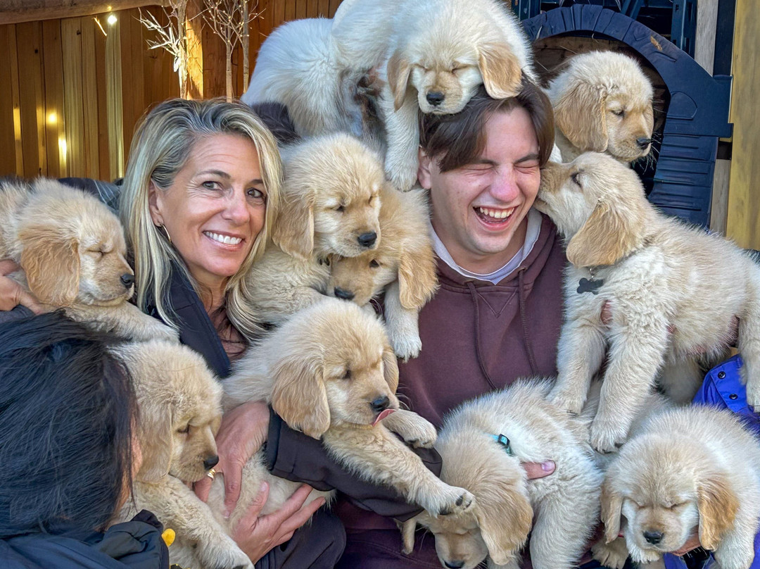 Golden Dog Farm-Jeffersonville必去景点