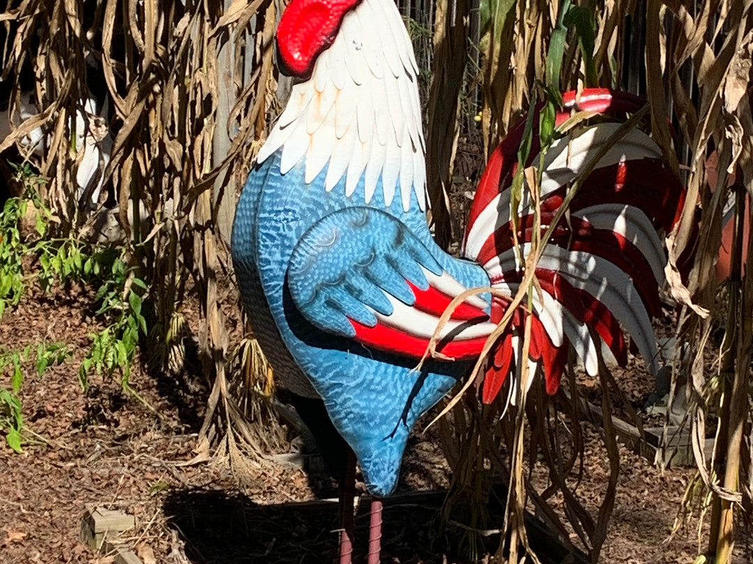 Whimsical Botanical Gardens-Flovilla必去景点