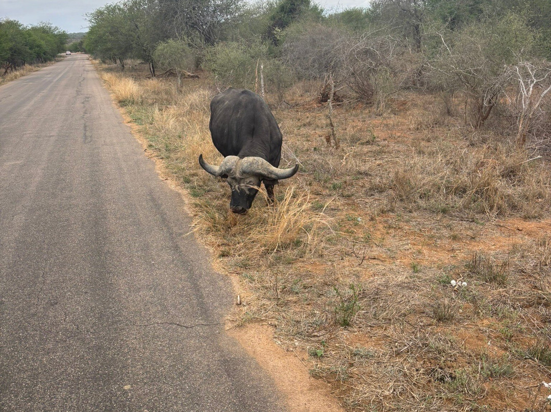 Southern Kruger Safaris-玛洛斯帕克必去景点