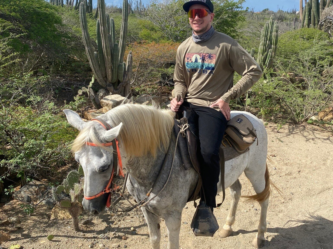 Rancho Loco-Santa Cruz必去景点