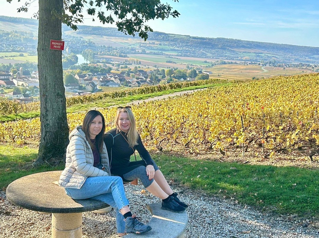 Champagne Piot-Sévillano-Vincelles必去景点