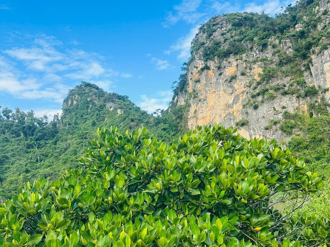 Thien Long Cave-卡巴必去景点