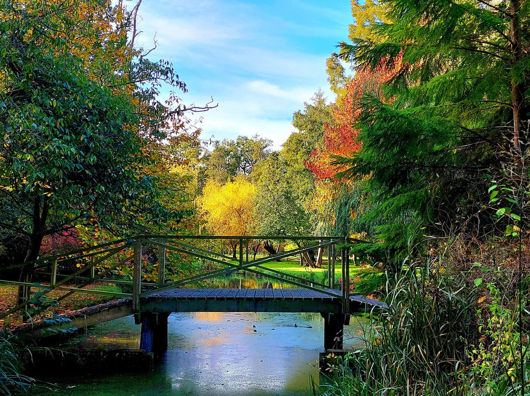 Fairhaven Woodland and Water Garden-South Walsham必去景点