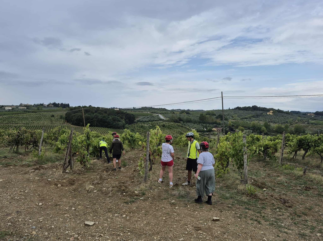 Toscana by Bike-蒙特斯佩托利必去景点