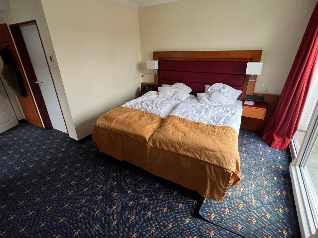 Hotel Drei Birken主图