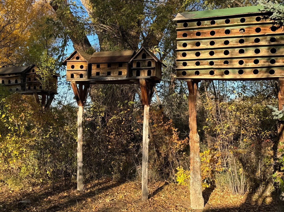 Mabel Dodge Luhan House主图
