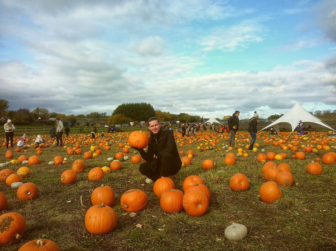 Hitchin Lavender-Ickleford必去景点