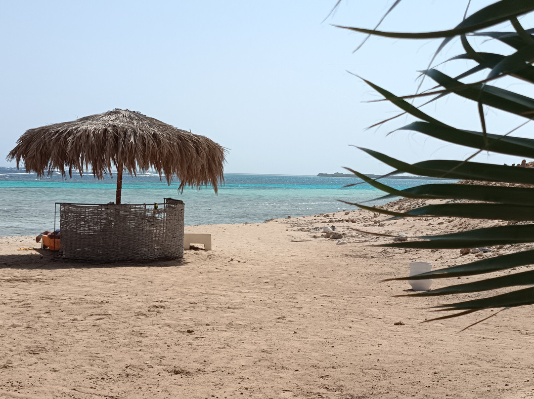 Berenice Troglodytica-Hamata and Berenice必去景点