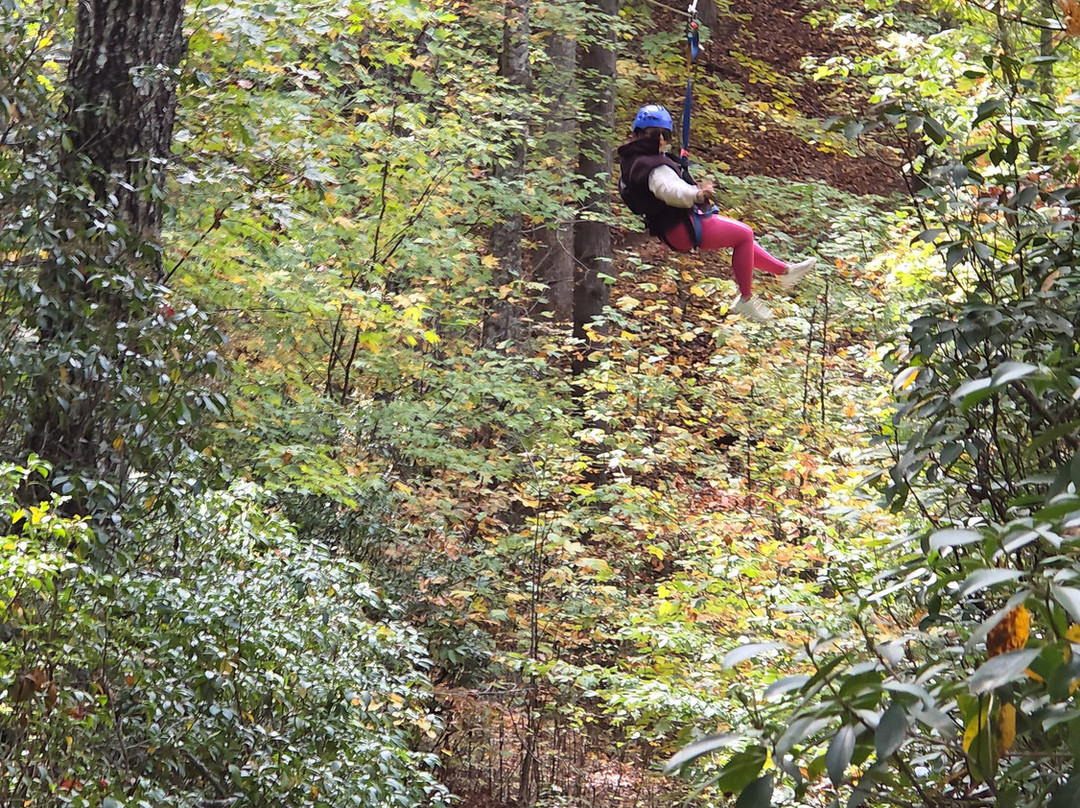 Canopy Ridge Farm-Lake Lure必去景点