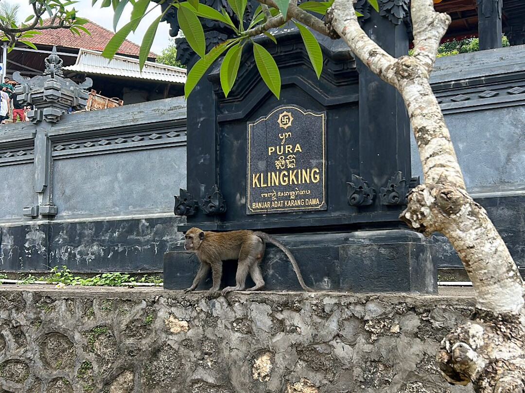 Penida Agus Tour-珀尼达岛必去景点