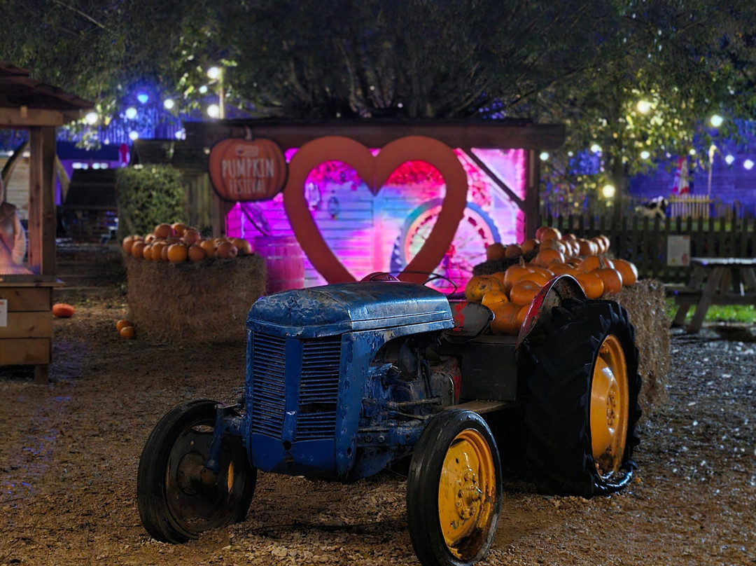 Odds Farm Park-海威科姆必去景点