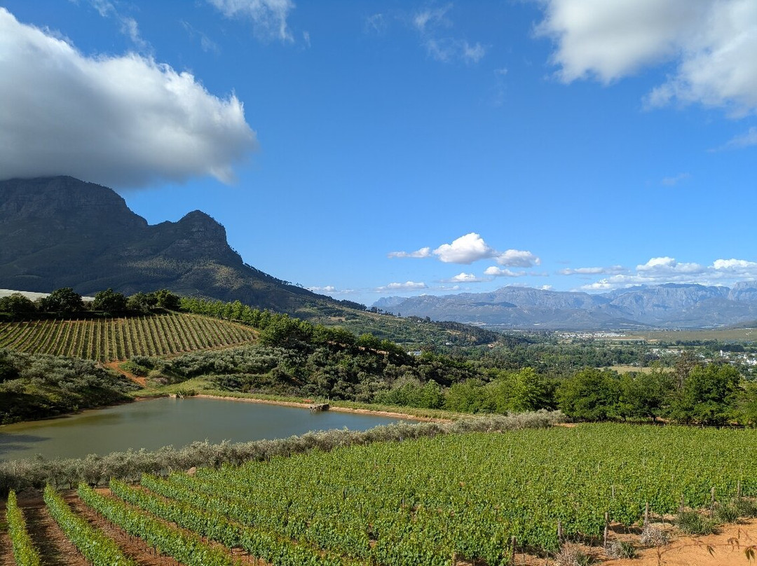 Franschhoek Wine Tram-法兰舒克必去景点