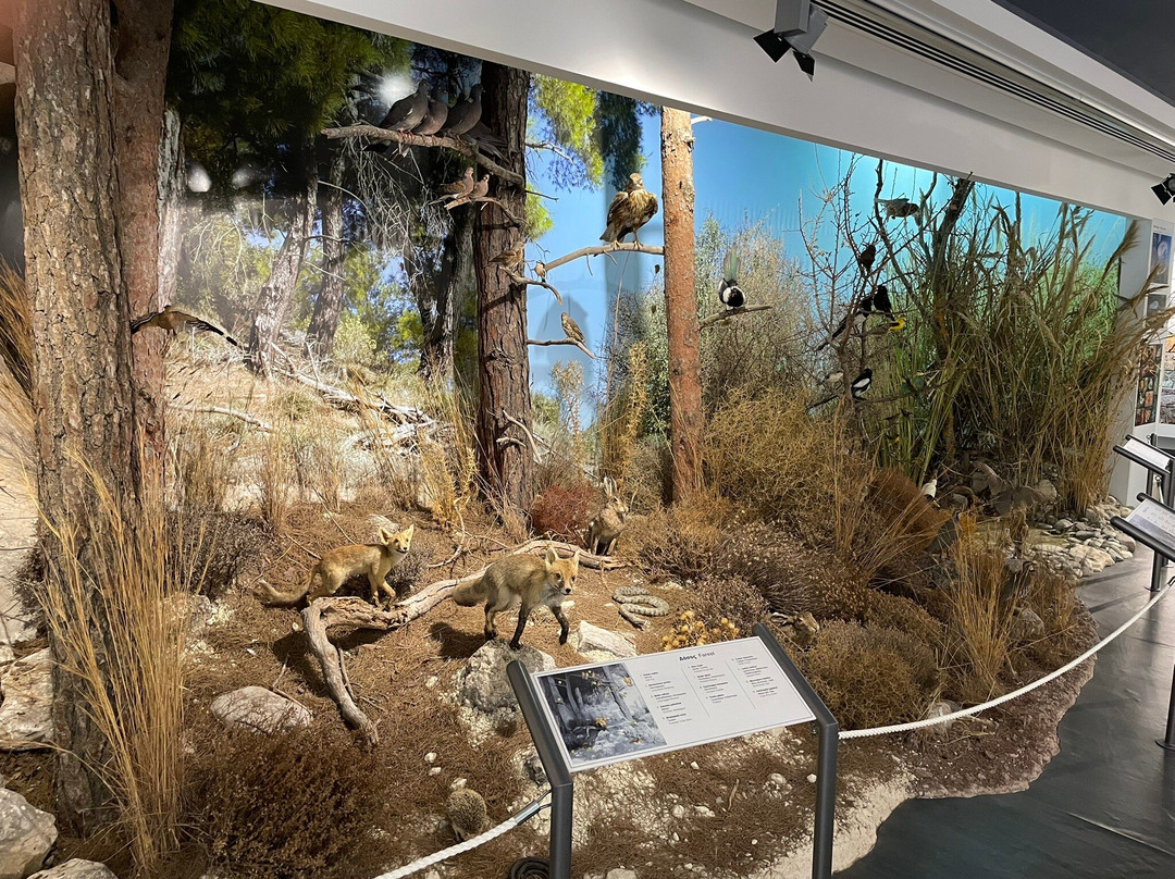 Episkopi Pafos Environmental Information Centre-Episkopi必去景点