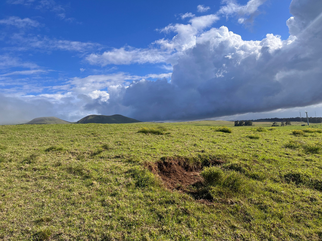 Na'alapa Stables - Kahua Ranch-卡慕也拉必去景点