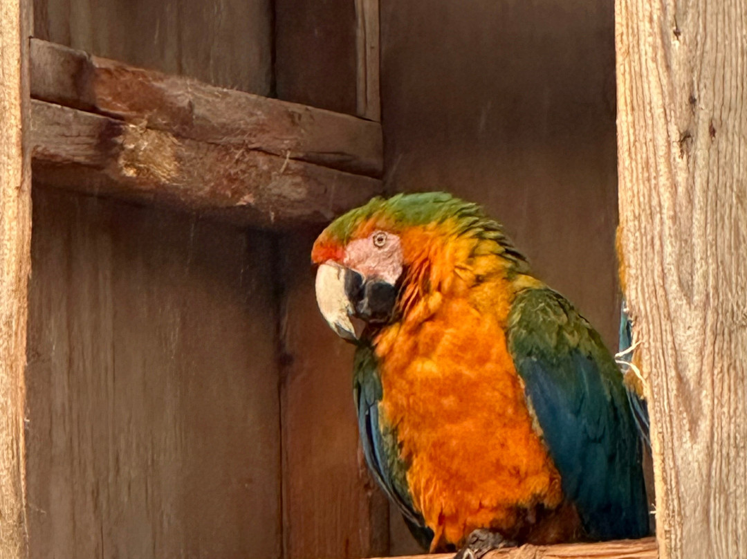 鸟园-水上伯顿必去景点