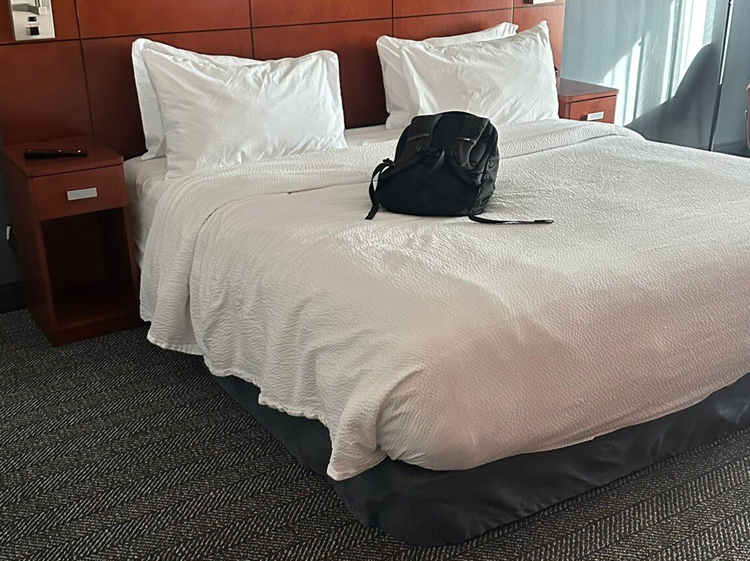 Courtyard by Marriott Minneapolis Maple Grove/Arbor Lakes主图