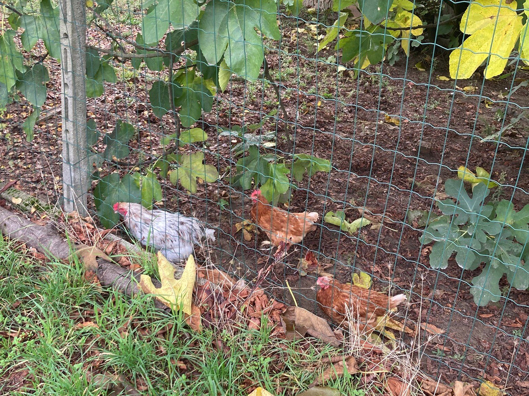 La Cà Nova-Cella Monte必去景点