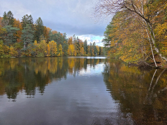 VVF Les Vosges - Bitche主图