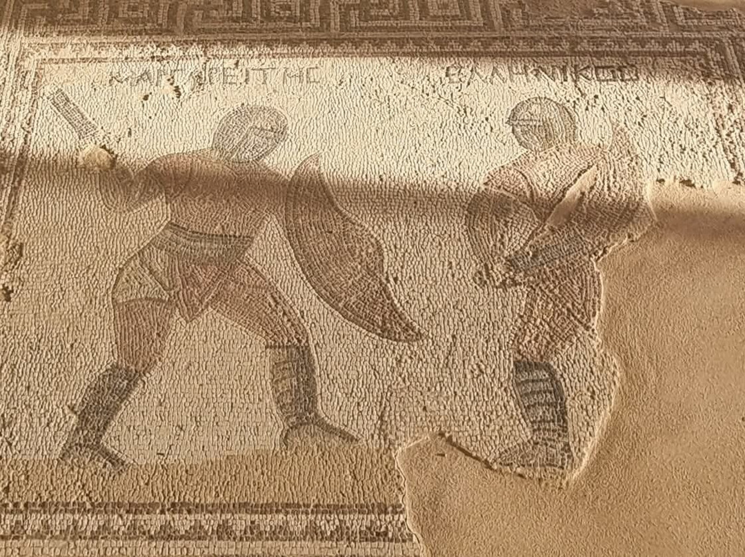 Local Archaeological Kourion Museum-Episkopi必去景点