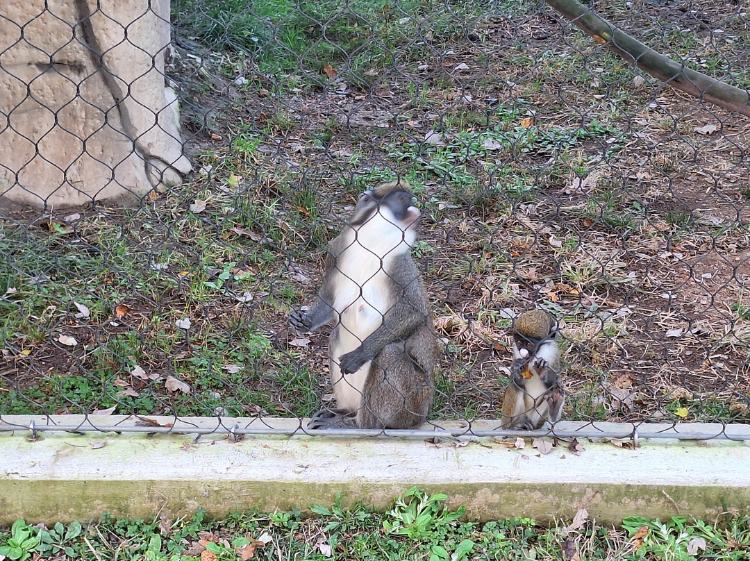 Metro Richmond Zoo-Moseley必去景点
