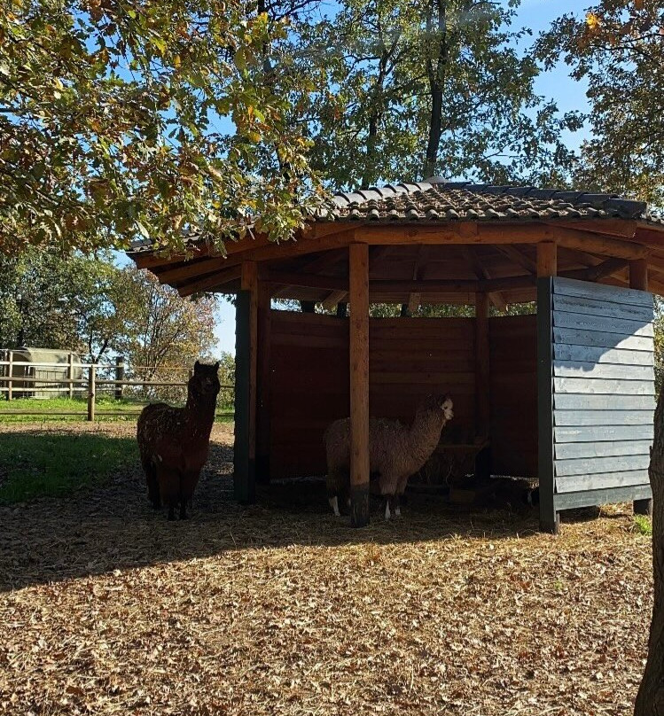 Pietra Cavalla主图