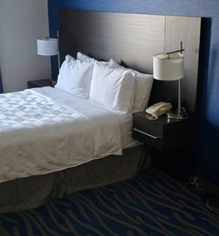 Holiday Inn & Suites Regina By IHG主图