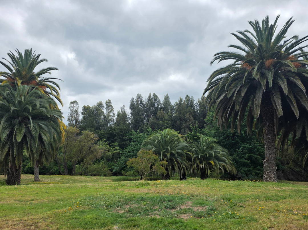 Vina Maquis-Palmilla必去景点