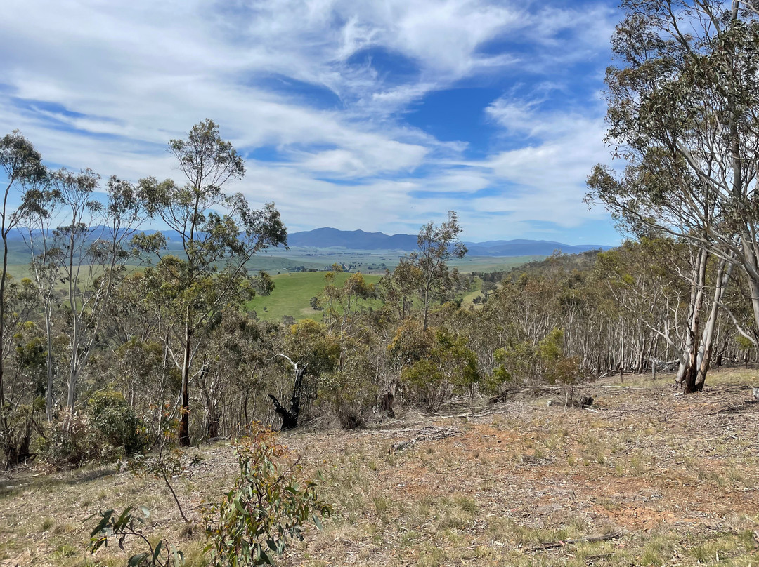McMillan Lookout-Omeo必去景点