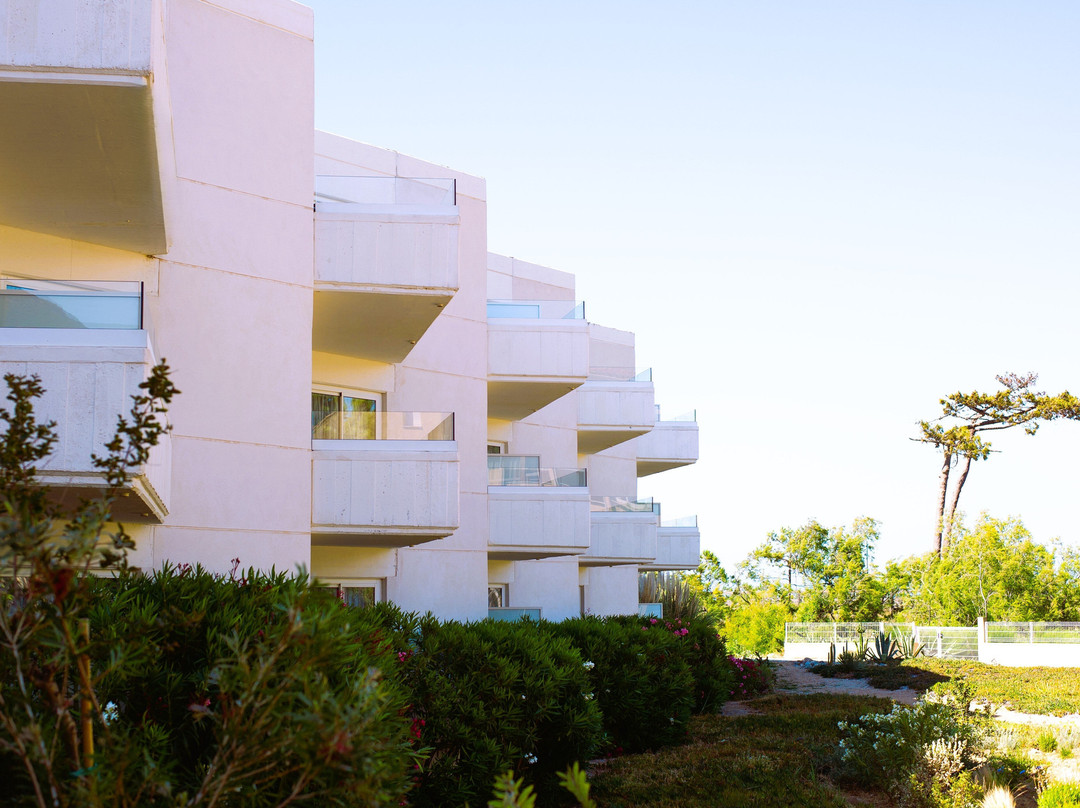 Le Calvi Hôtel主图