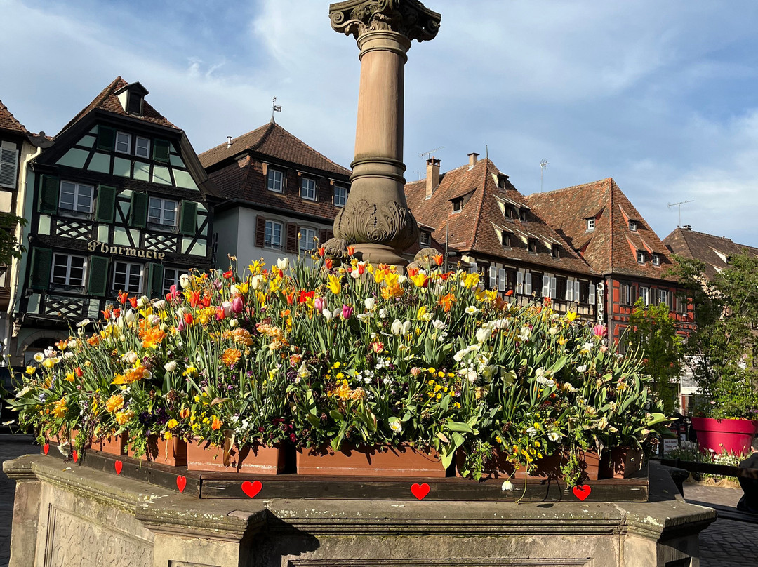 La Fontaine Sainte-Odile-奥贝奈必去景点