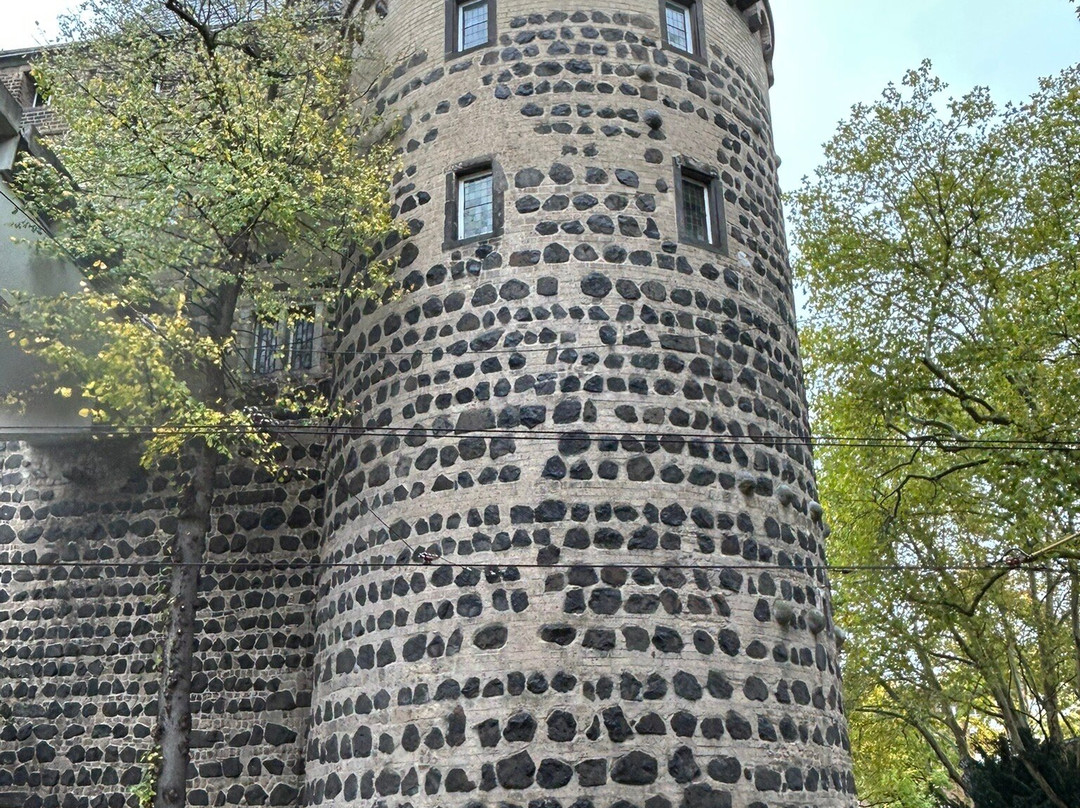 Clemens-Sels-Museum-诺伊斯必去景点