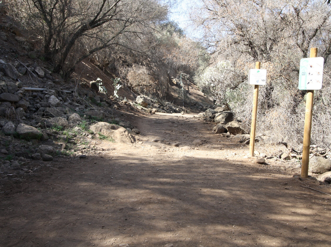 Barranco De Los Cernicalos-特尔德必去景点