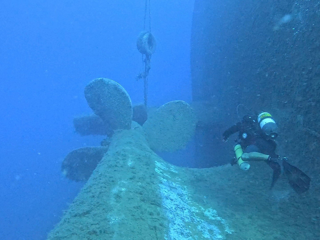 Cydive-帕福斯必去景点